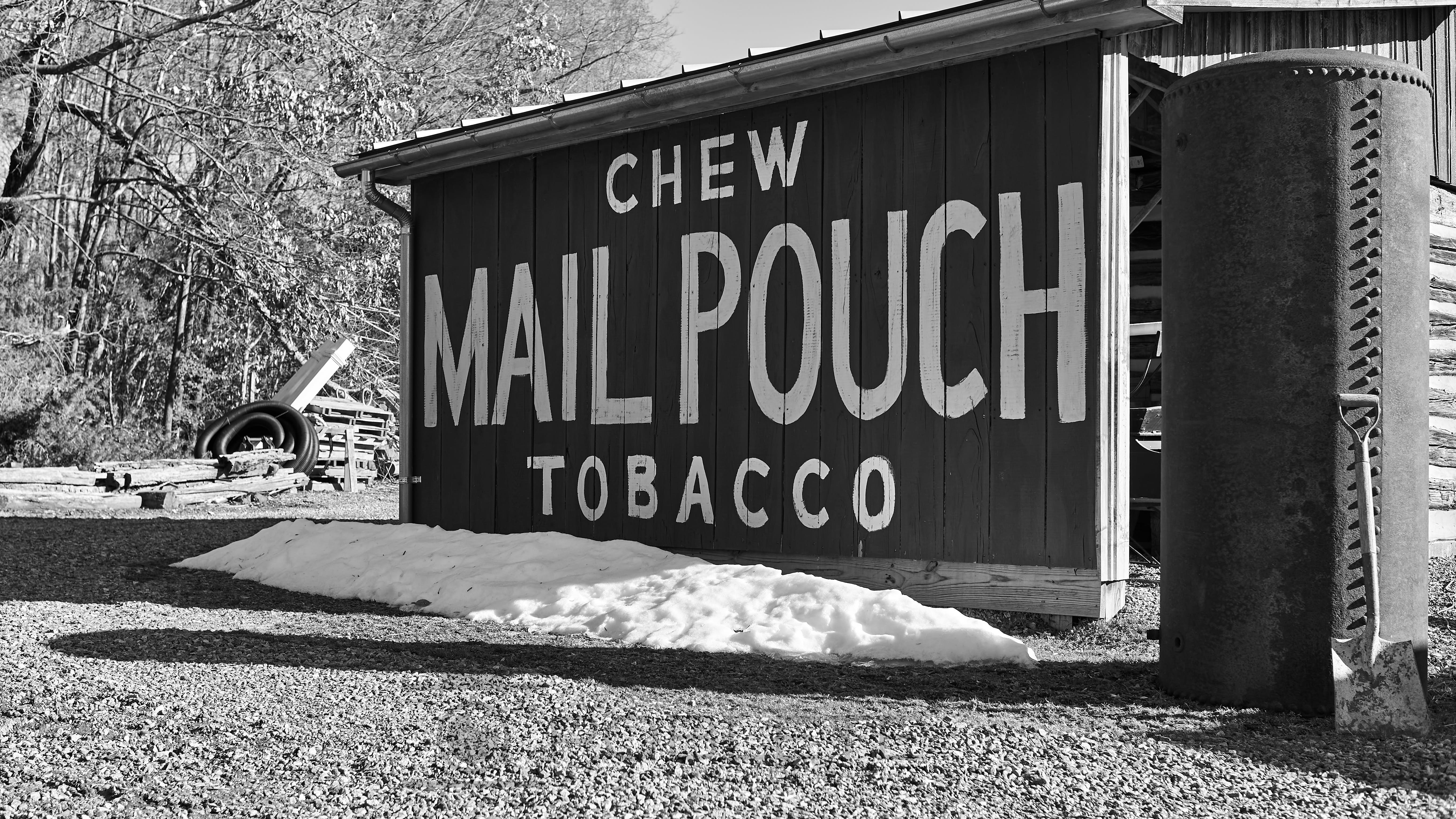 A wooden roadside sign reading “Chew Mail Pouch Tobacco” rises above snow beside leafless trees.