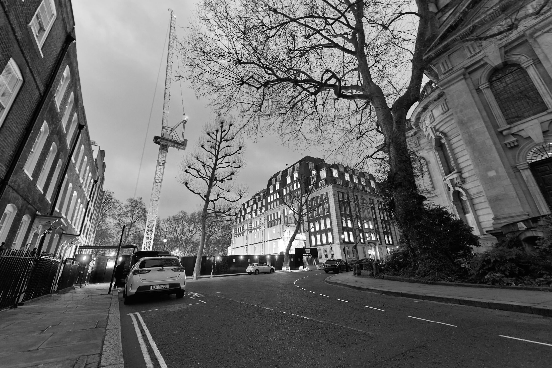 Bare trees arch over a broad city avenue between large buildings.