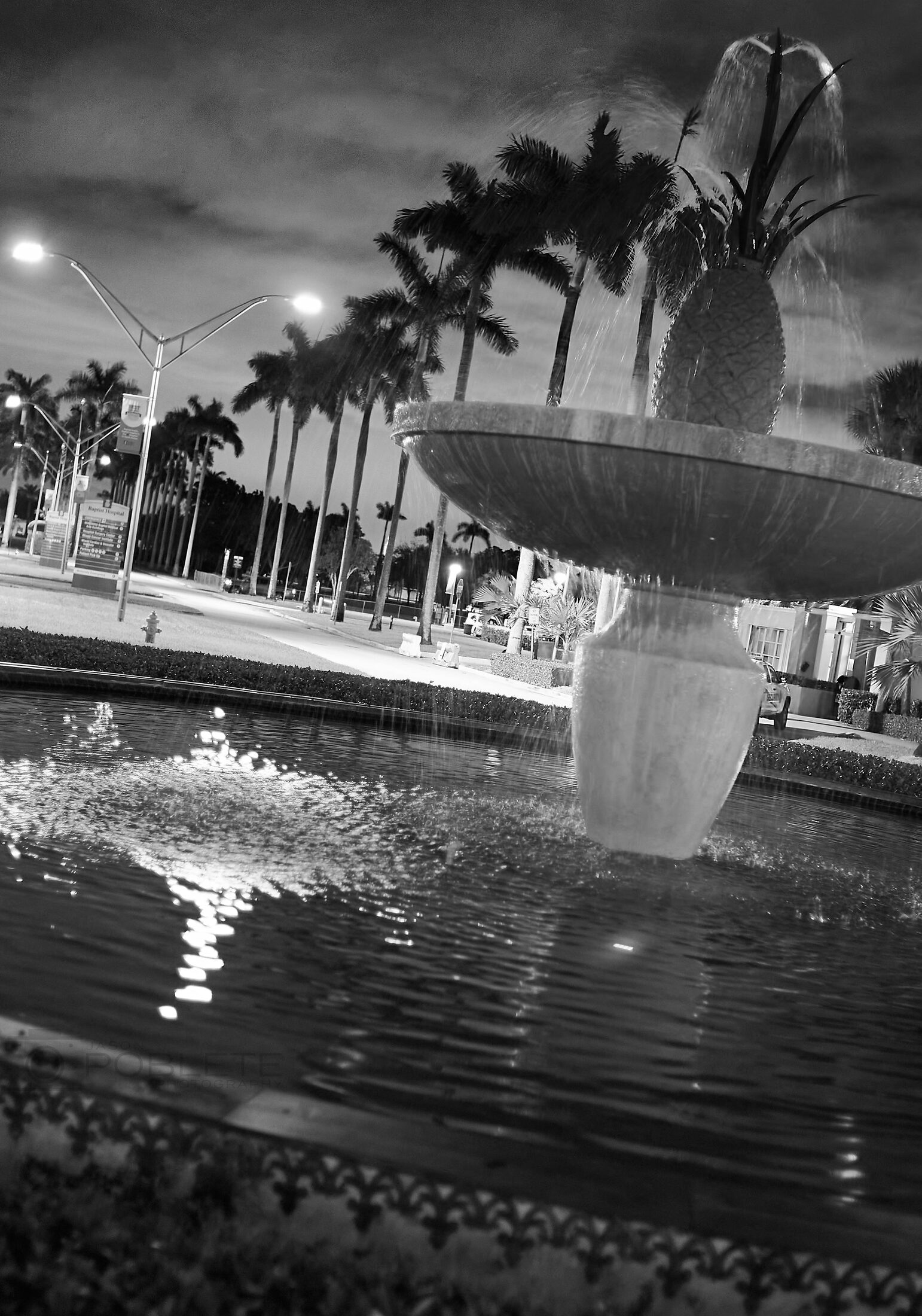 A curved hotel façade and palm trees are reflected in dark water.