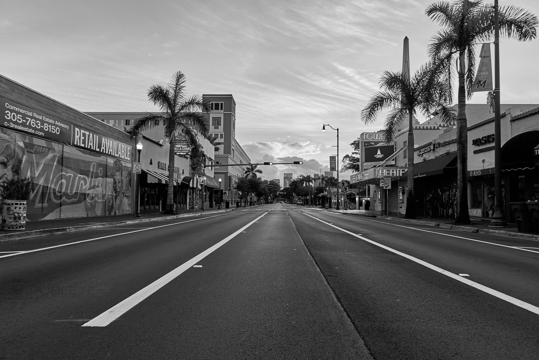 An empty palm-lined road stretches toward low buildings.