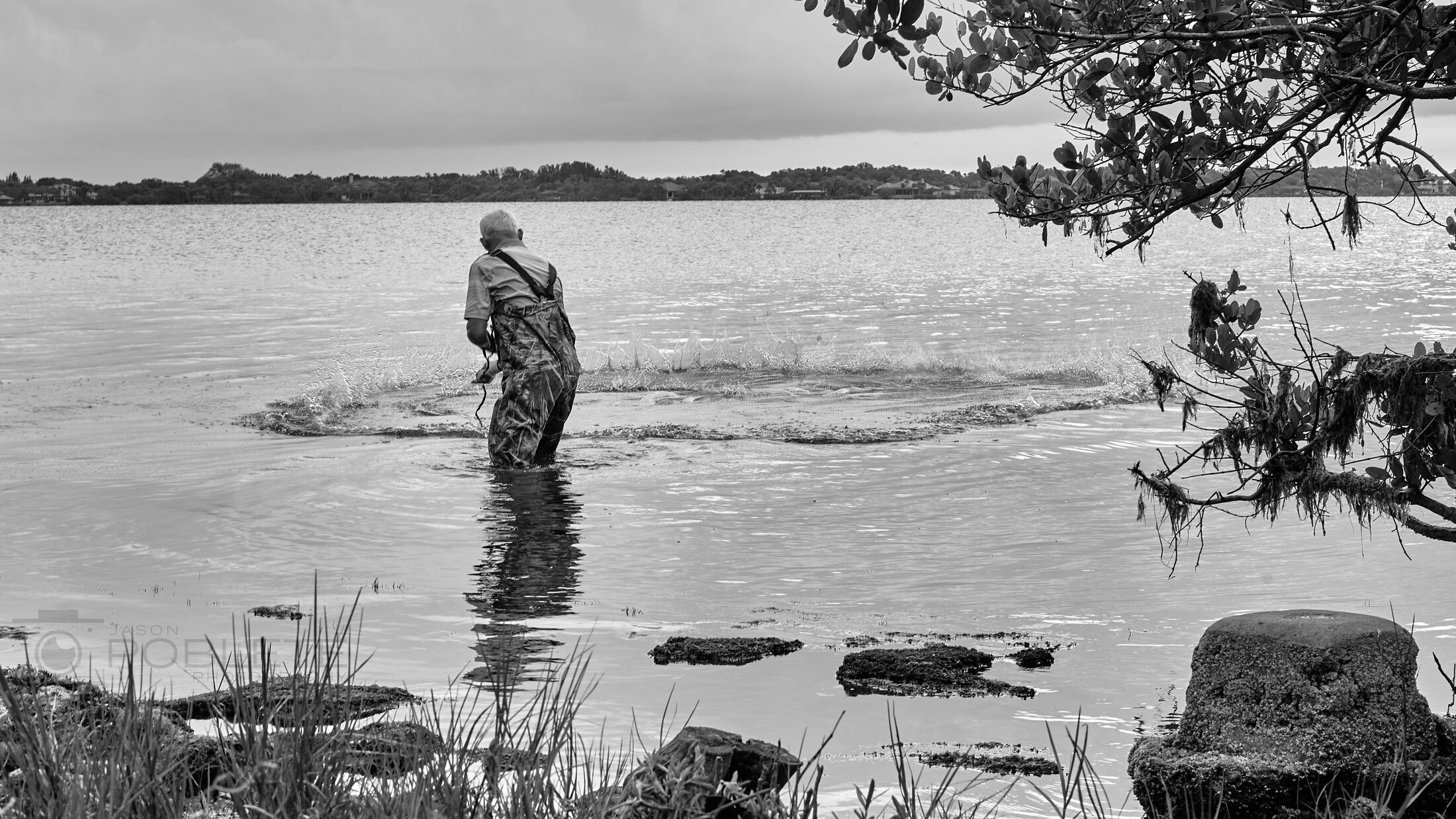 An angler wades in shallow water beside a mangrove shoreline.